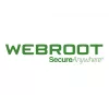 Webroot | DNS Protection with GSM Console | 1 jaar | licentienummer 10-99 gebruikers