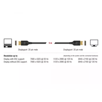 DisplayPort-kabel DeLOCK 85658 1 m zwart