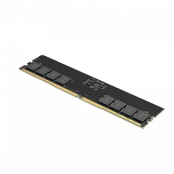 Lexar DDR5 - module - 32 GB - DIMM 288-PIN - 5600 MT/s / PC5-44800