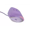 NATEC Crake 2 Pro muis universeel rechtshandigen USB Type-A optisch 12800 DPI