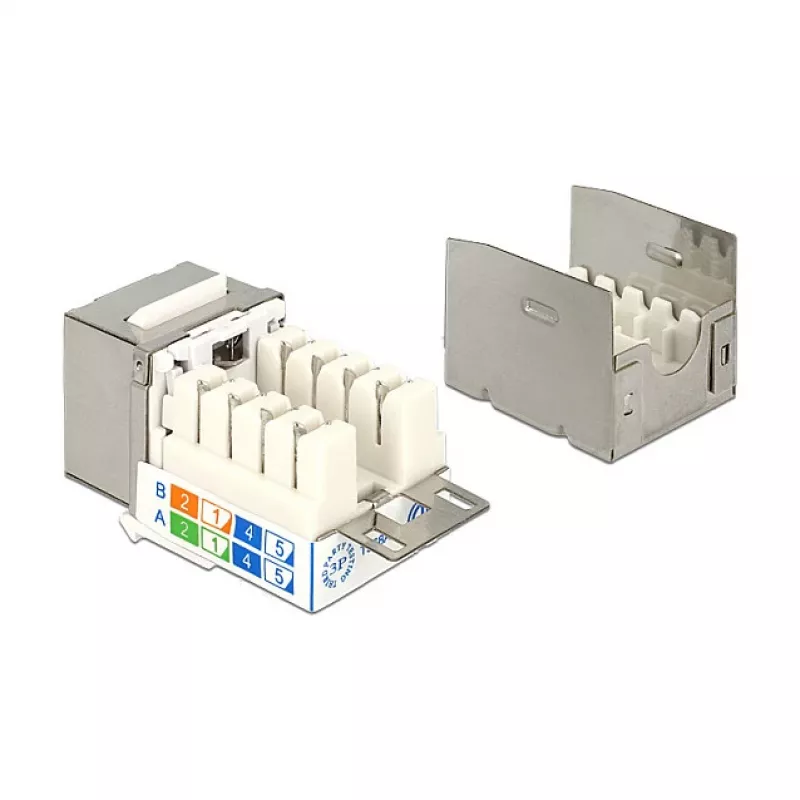 Delock 86404 Keystone-module RJ45 Secure Cat.6 naar LSA, wit