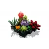 Lego Icons 10309 vetplanten