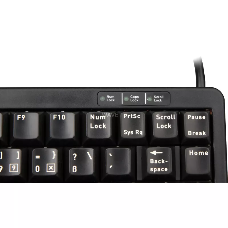 CHERRY G84-4100 toetsenbord universeel USB QWERTZ Duits zwart
