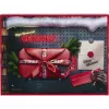 Adventskalender Gedore R33003151 2025 — gereedschapsthema kalender, gelimiteerde set