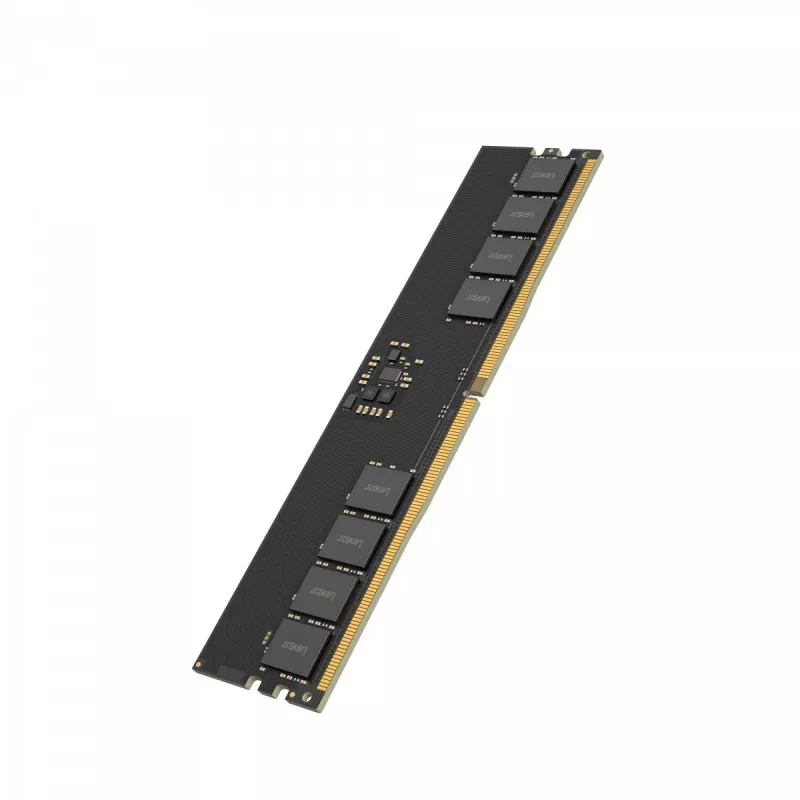 Lexar DDR5 - module - 32 GB - DIMM 288-PIN - 5600 MT/s / PC5-44800