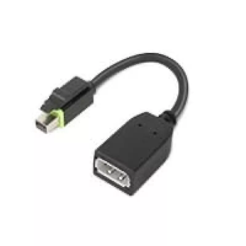Lenovo 4X90Q93975 videokabel-adapter Mini DisplayPort DisplayPort zwart