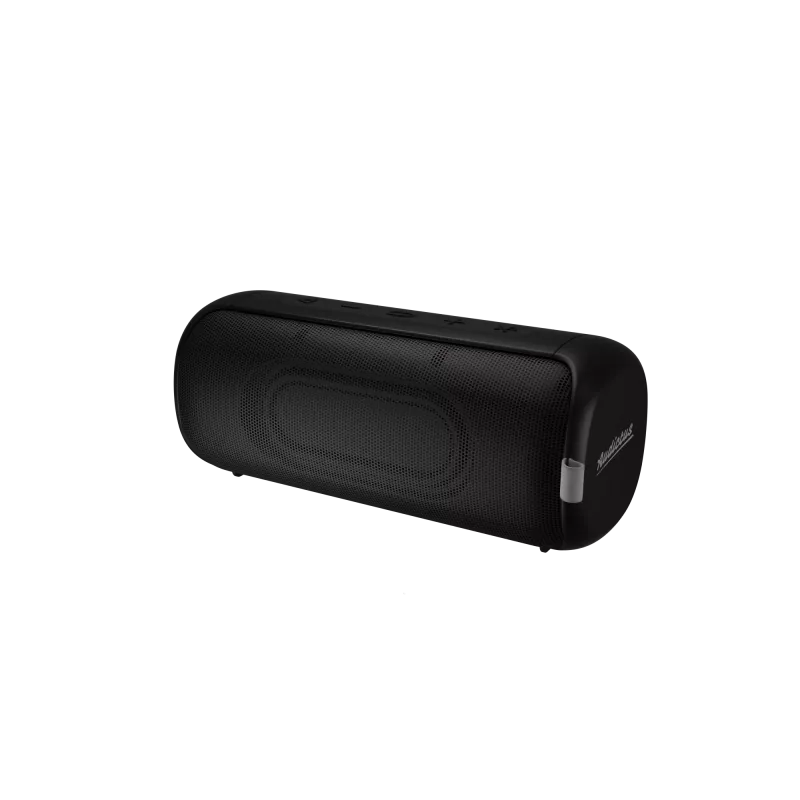 Stereo draagbare luidspreker Audictus Aurora Pro 20 W