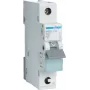 Hager MBS132. Nominale stroom: 32 A, netfrequentie: 50/60. Type: B-karakteristiek, aantal modules (max): 1 module(s). Breedte: 17,5 mm, diepte: 70 mm, hoogte: 83,4 mm (MBS132)