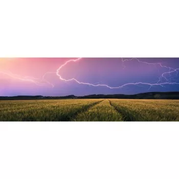 Puzzel Ravensburger panorama Zomeronweer 500 stukjes