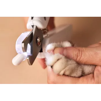 PETKIT verbeterde LED-licht katten-hondennagelknipper PRO Cutter professioneel verlichte bloedlijn kattenmos huisdier nageltrimmer schoonheid