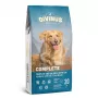 DIVINUS Complete Adult - droogvoer voor honden - 20 kg