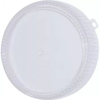 Vervangende kleurkap voor EUROLITE Techno Strobe 94202020 – 205 mm helder