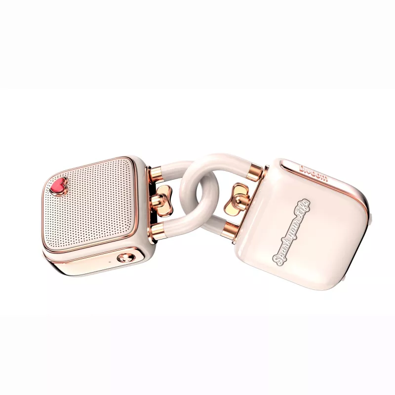 Draagbare mono-luidspreker Divoom LoveLock roze