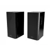 Luidspreker Audience HQ MT3143 (2x 20W RMS) stereo MT3143K