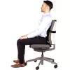 Stoelrugsteun PlushTouch/Lumbar 8026501 FELLOWES