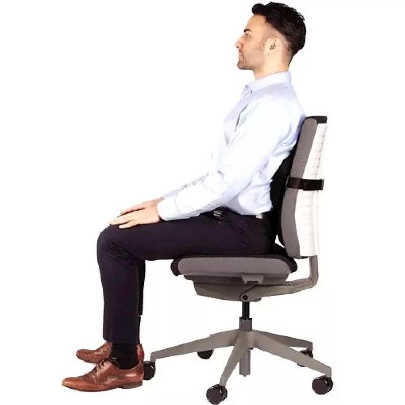 Stoelrugsteun PlushTouch/Lumbar 8026501 FELLOWES