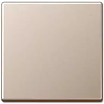 Wandplaat inzetstuk van Jung A 590 CH, champagne afwerking, compatibel met Jung 501/502/503/506/507 series