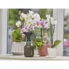 Handspuit Gardena 11110-20 0,75 L Zwart