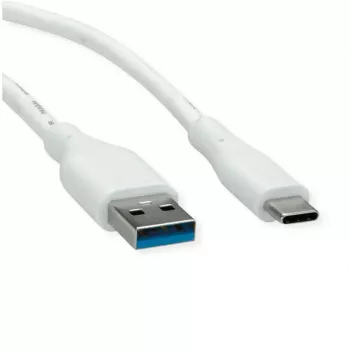 ROTRONIC-SECOMP VALUE - USB-kabel - USB Type-A (M) naar USB-C (M)