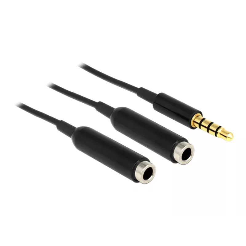 Audiokabel DeLOCK 65575 0,25 m 3,5 mm 2 x 3,5 mm zwart