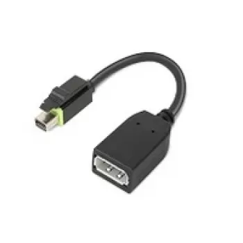 Lenovo 4X90Q93975 videokabel-adapter Mini DisplayPort DisplayPort zwart