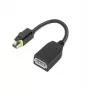 Lenovo 4X90Q93975 videokabel-adapter Mini DisplayPort DisplayPort zwart
