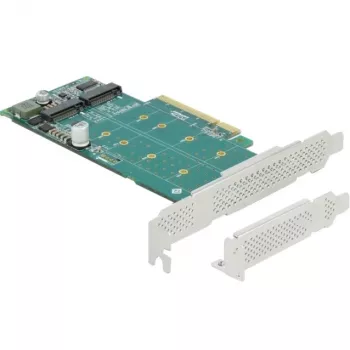 DeLOCK PCI Express x8 kaart naar 2 x interne NVMe M.2 Key M bifurcatie low-profile form factor