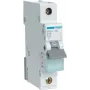 Hager MBN116 elektrische schakelaar 1P (MBN116)