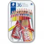 Kleurpotloden Staedtler 175 Multicolour 36 stuks