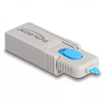 Poortslot DeLOCK 20969 DisplayPort HDMI USB Type-A USB Type-C grijs