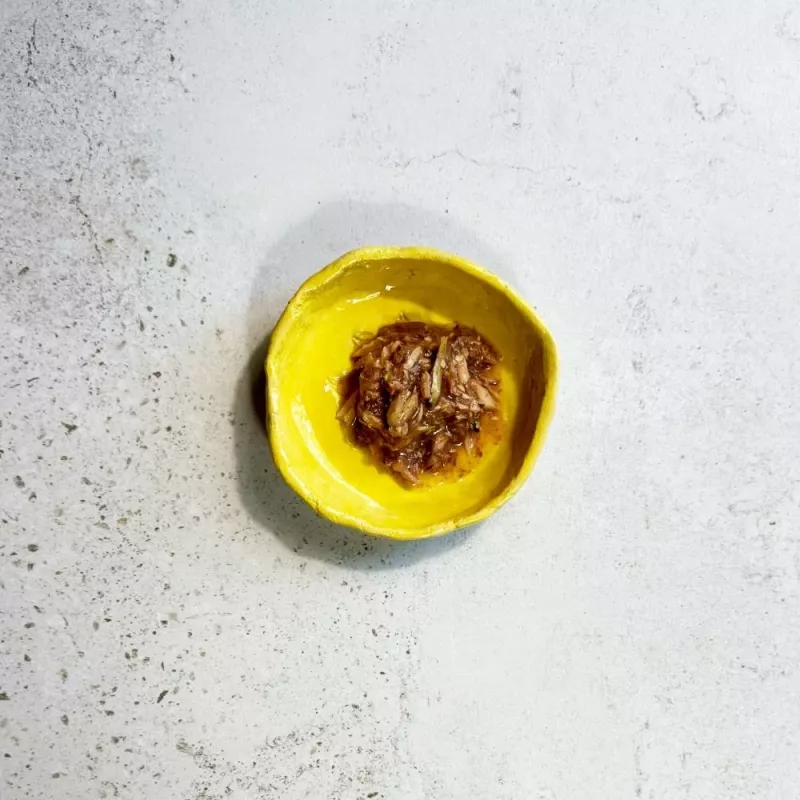 Ollo tonijn met ansjovis in bouillon nr. 9 70g