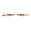 HDMI-kabel DeLOCK 85729 2 m HDMI Type-A standaard zwart goud