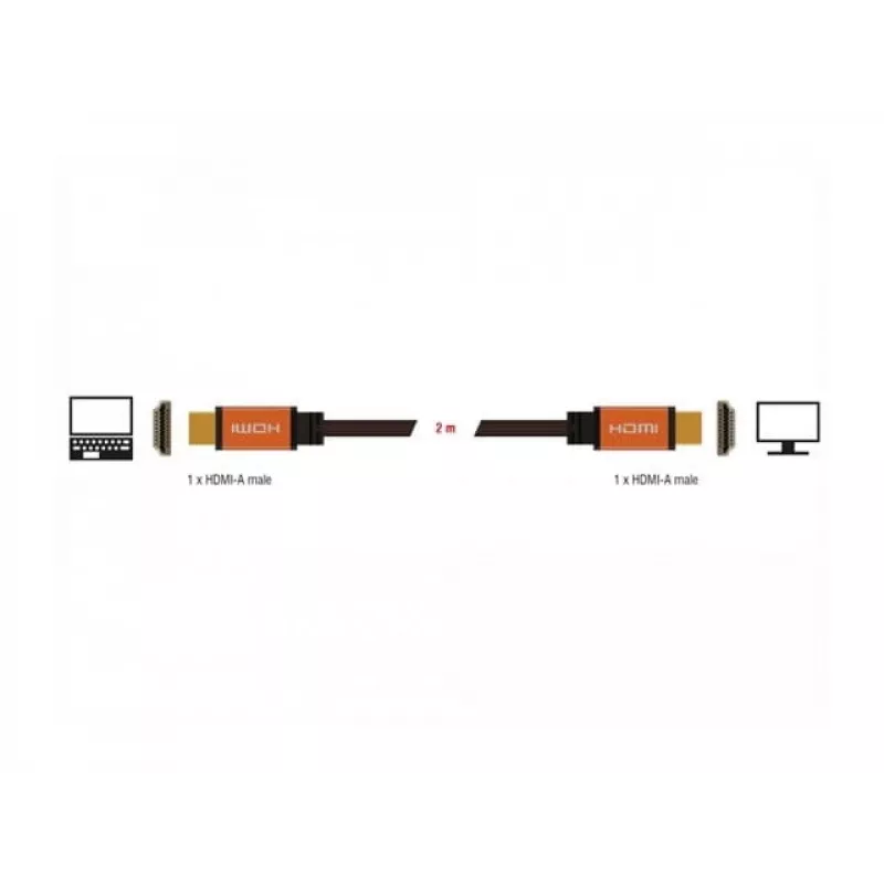 HDMI-kabel DeLOCK 85729 2 m HDMI Type-A standaard zwart goud