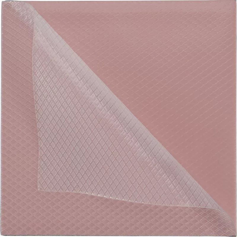 Thermal Grizzly Minus Pad 8 - 100 x 100 x 1,0 mm, 2 stuks