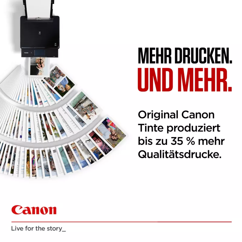 Canon 6204C001 inktpatroon 1 stk. origineel High (XL) Yield zwart