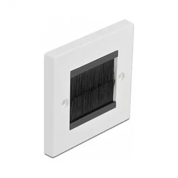 Wandplaat DeLOCK 66491 wit