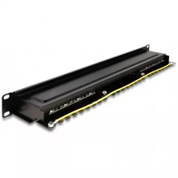 DeLOCK 66876 Patchpaneel 1U Cat6a zwart metaal