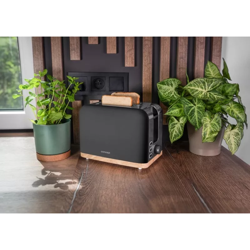 Toaster Concept Elwood TE2016, 2-sneetjes, zwart