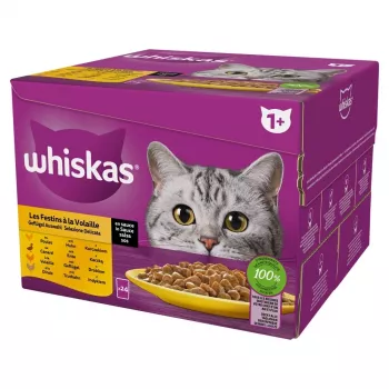 Nattenvoer voor katten Whiskas Poultry Feast 24×85 g — volwassen katten, gevogelte (kalkoen), 24 zakjes