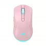 Muis Baracuda BGM-124 Turtle roze TURTLE-P
