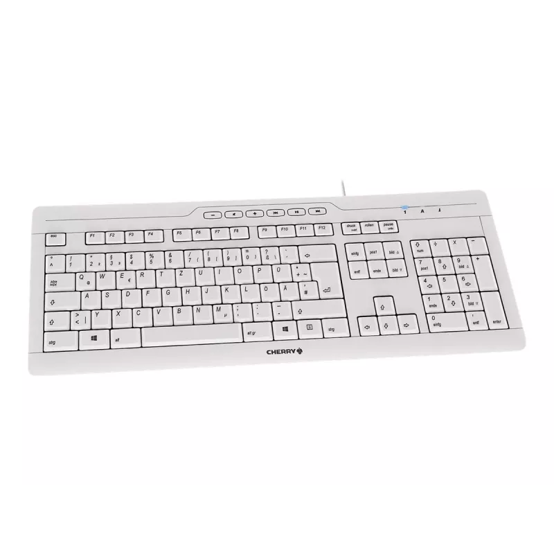 CHERRY STREAM 3.0 toetsenbord office USB Zwitsers grijs