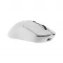 Muis White Shark GM-9010 MAXIMUS wit USB