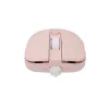 Muis White Shark GM-9004 Tristan-2 Pink RGB USB