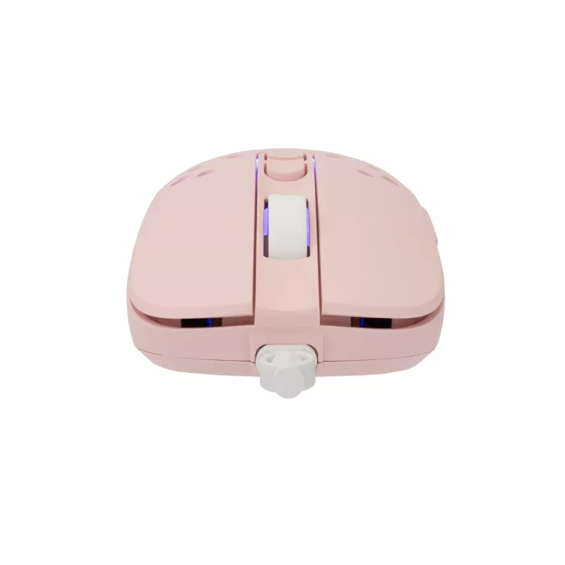 Muis White Shark GM-9004 Tristan-2 Pink RGB USB