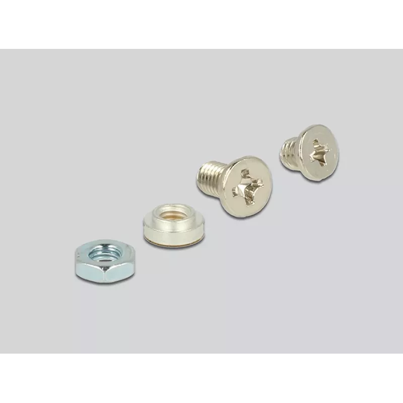 Interne M.2-adapter DeLOCK 62865