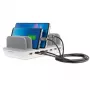 Mobiele oplader 4smarts 462310 USB Type-C grijs smartphone tablet