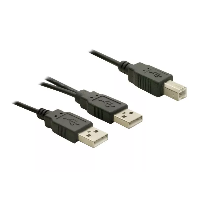 USB-kabel DeLOCK USB-B/USB-A kabel 1 m zwart