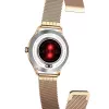 Smartwatch MaxCom FW42 GOLD goud