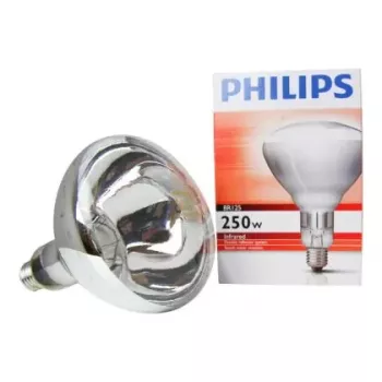 Philips 60800122044 gloeilamp 250 W