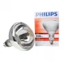 Philips 60800122044 gloeilamp 250 W